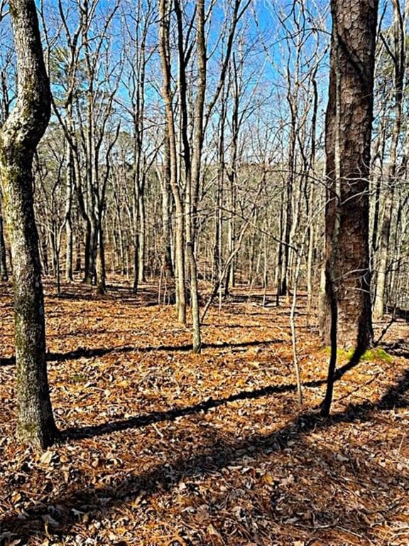 single family residence for sale at 0 Overlook Drive, Chatsworth, GA 30705 — photo 5