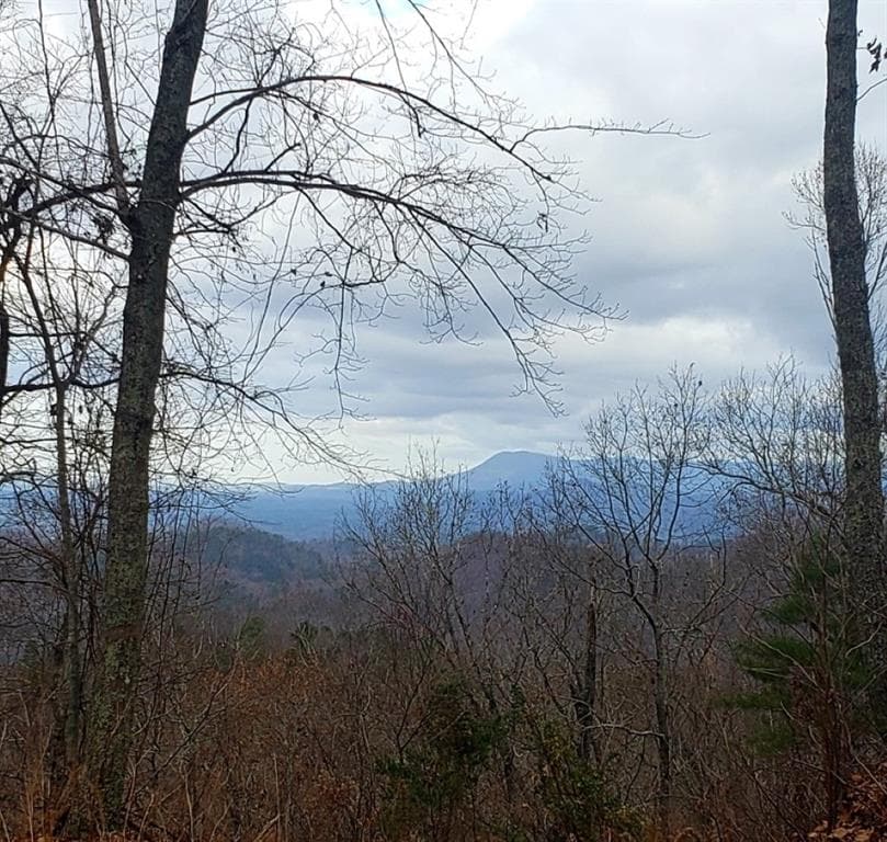 single family residence for sale at 0 Overlook Drive, Chatsworth, GA 30705 — photo 8
