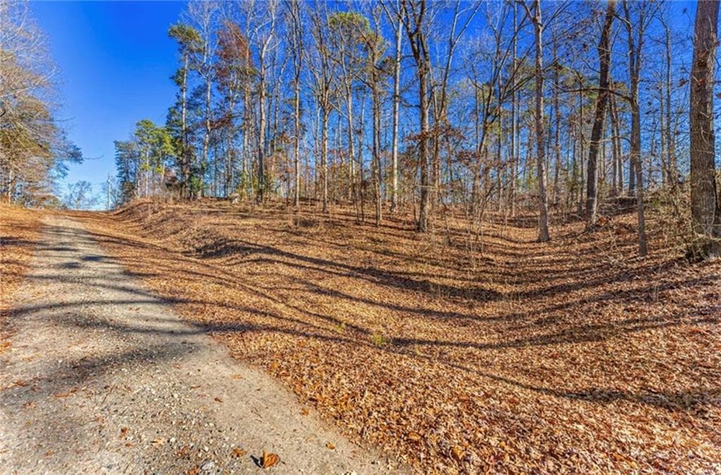 single family residence for sale at 0 Mountain View Road, Lavonia, GA 30553 — photo 2