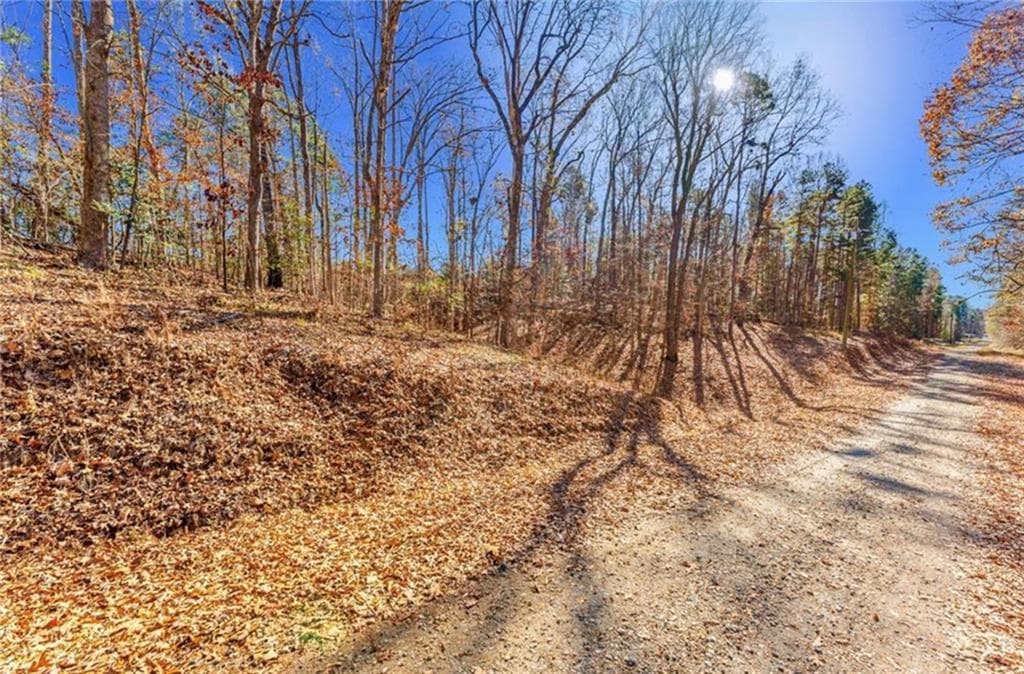 single family residence for sale at 0 Mountain View Road, Lavonia, GA 30553 — photo 3