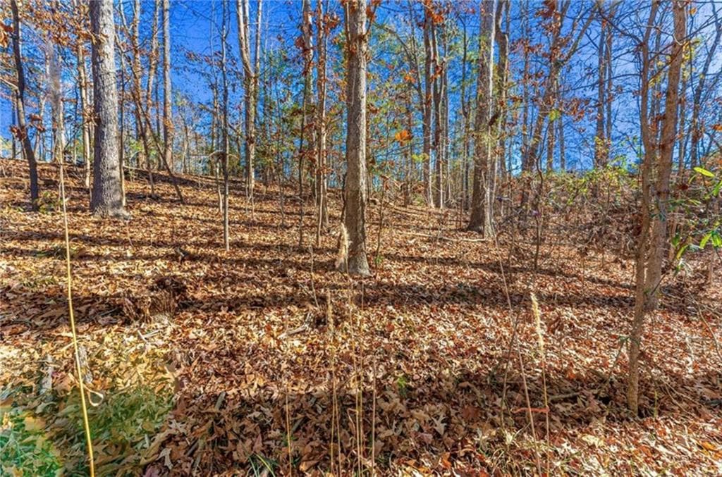 single family residence for sale at 0 Mountain View Road, Lavonia, GA 30553 — photo 5