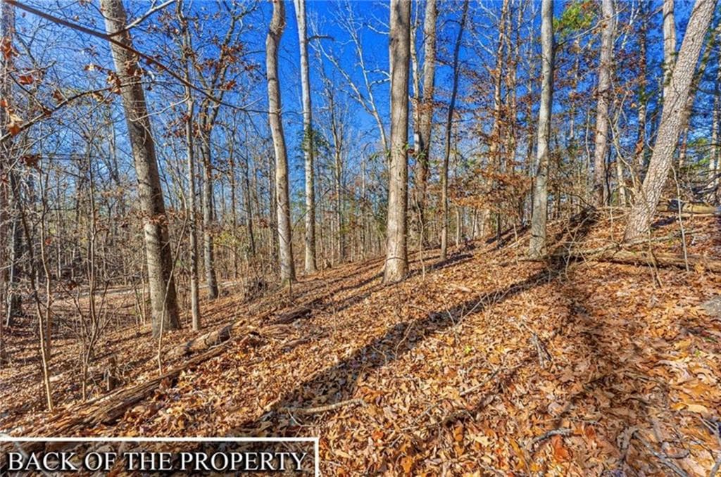 single family residence for sale at 0 Mountain View Road, Lavonia, GA 30553 — photo 6