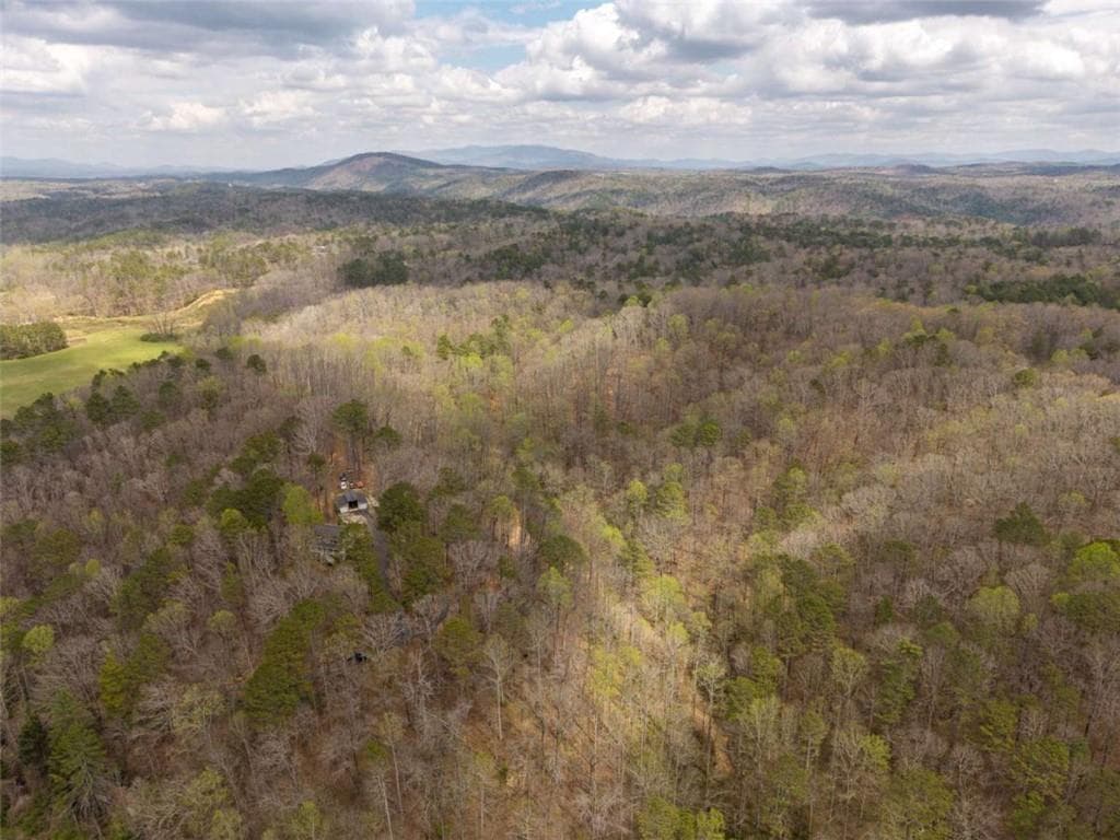unimproved land for sale at 131 Nicholson Lane, Talking Rock, GA 30175 — photo 2