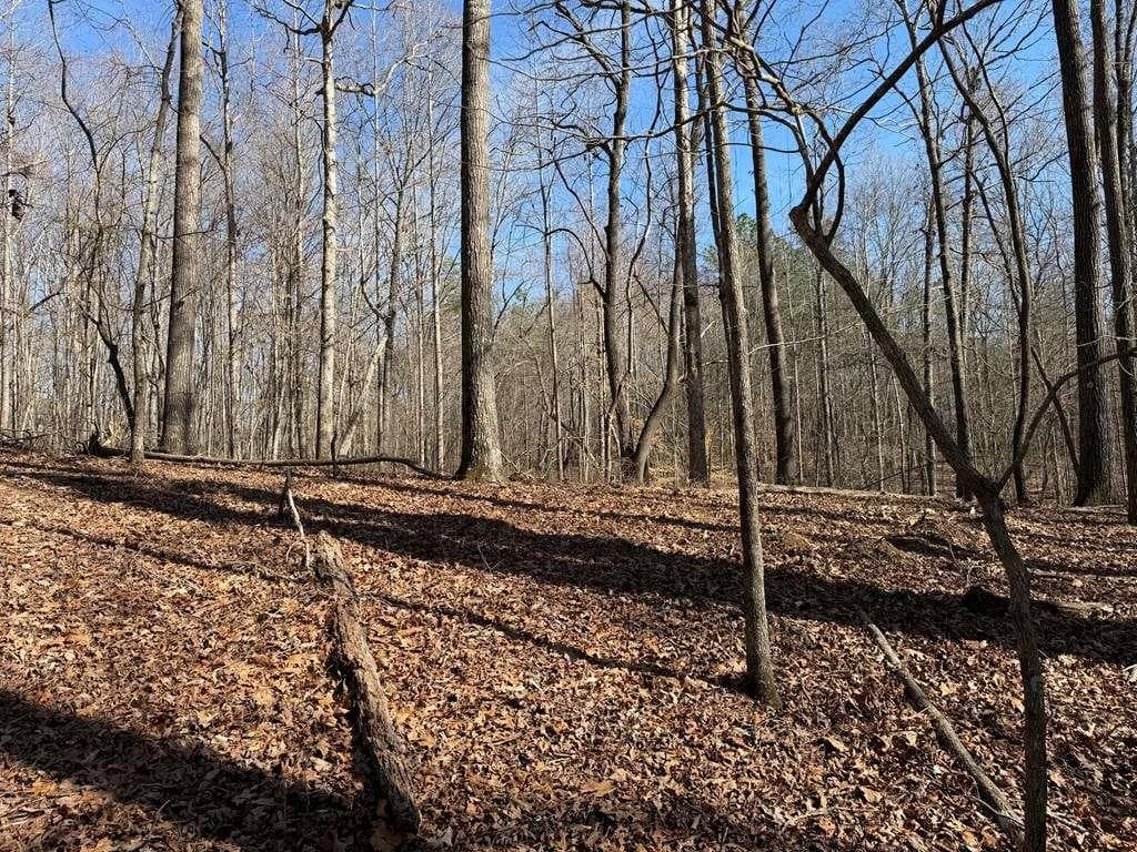 unimproved land for sale at 131 Nicholson Lane, Talking Rock, GA 30175 — photo 3