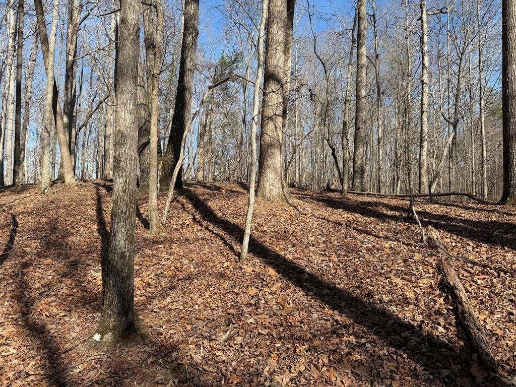 unimproved land for sale at 131 Nicholson Lane, Talking Rock, GA 30175 — photo 4