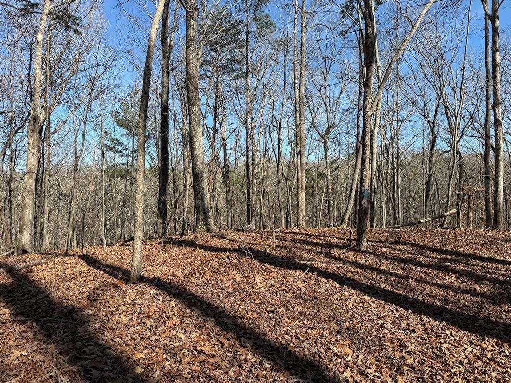 unimproved land for sale at 131 Nicholson Lane, Talking Rock, GA 30175 — photo 5