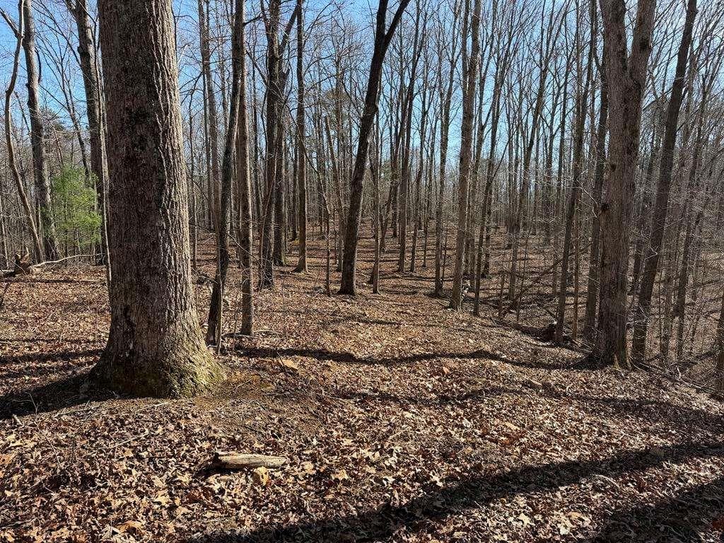 unimproved land for sale at 131 Nicholson Lane, Talking Rock, GA 30175 — photo 6