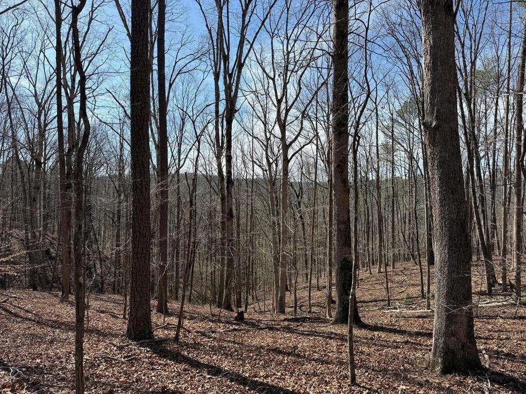 unimproved land for sale at 131 Nicholson Lane, Talking Rock, GA 30175 — photo 7