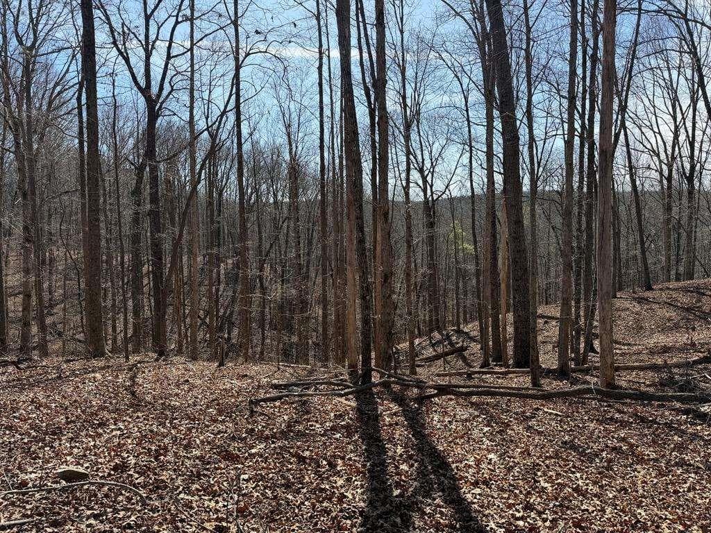 unimproved land for sale at 131 Nicholson Lane, Talking Rock, GA 30175 — photo 8