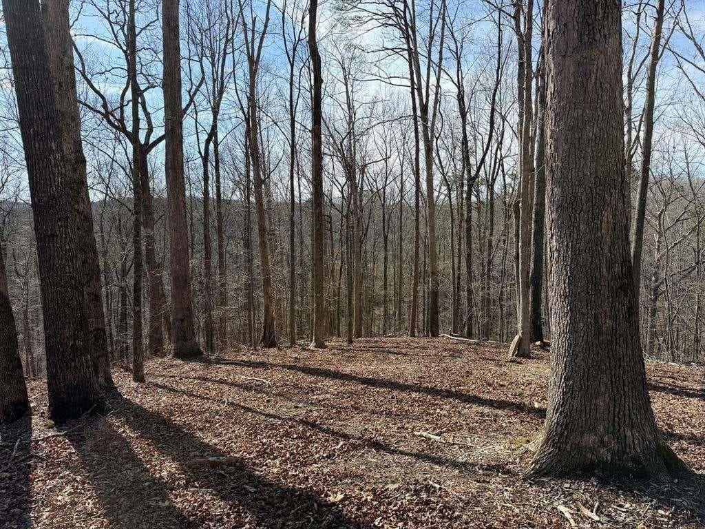 unimproved land for sale at 131 Nicholson Lane, Talking Rock, GA 30175 — photo 9