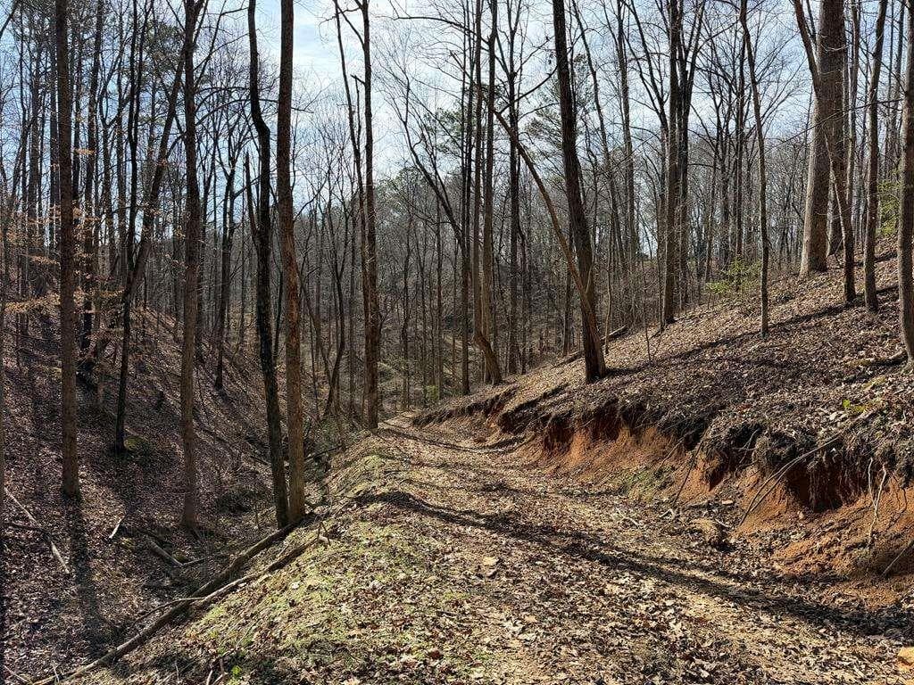 unimproved land for sale at 131 Nicholson Lane, Talking Rock, GA 30175 — photo 10