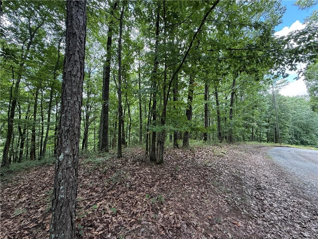 single family residence for sale at LOT 10 Mayfield Lane, Ranger, GA 30734 — photo 2