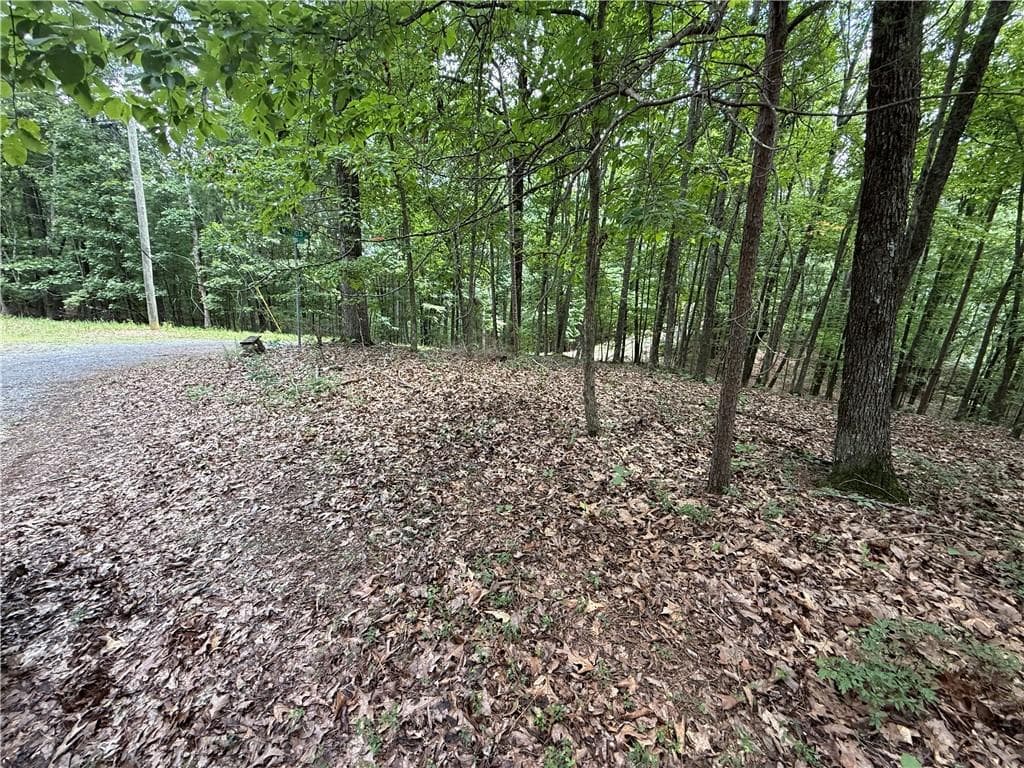 single family residence for sale at LOT 10 Mayfield Lane, Ranger, GA 30734 — photo 3