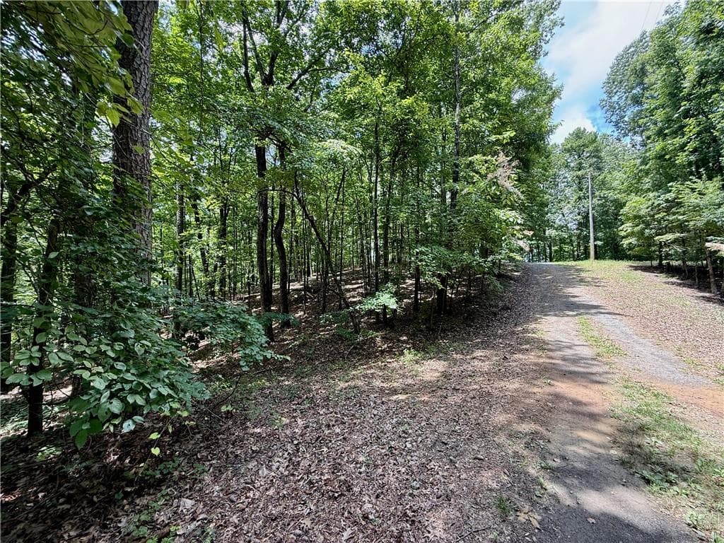 single family residence for sale at LOT 10 Mayfield Lane, Ranger, GA 30734 — photo 4