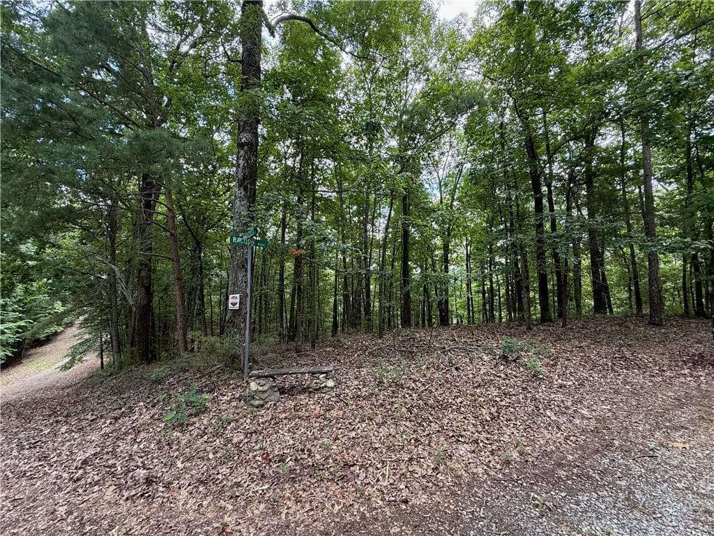 single family residence for sale at LOT 10 Mayfield Lane, Ranger, GA 30734 — photo 5