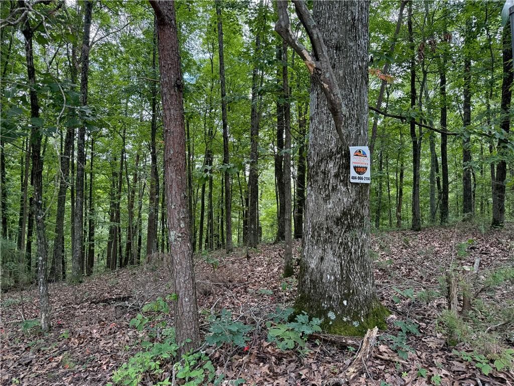 single family residence for sale at LOT 10 Mayfield Lane, Ranger, GA 30734 — photo 6