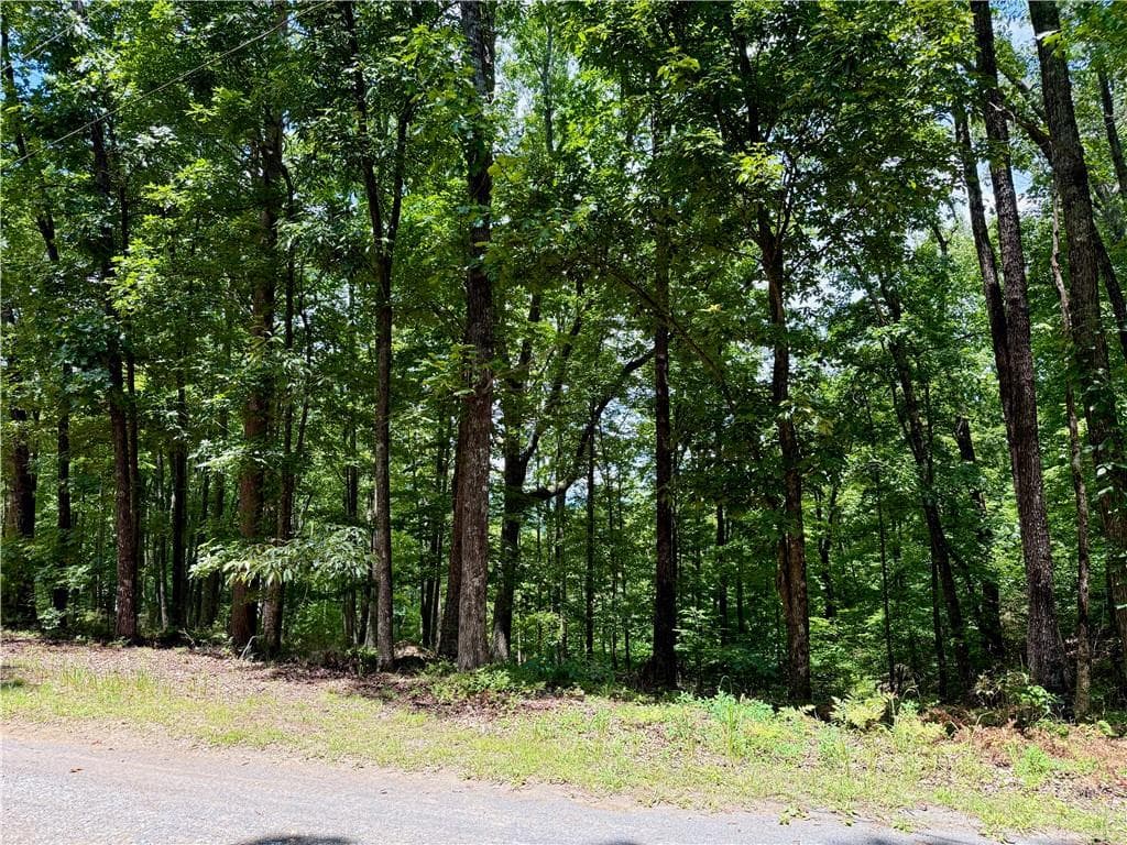 single family residence for sale at LOT 10 Mayfield Lane, Ranger, GA 30734 — photo 7