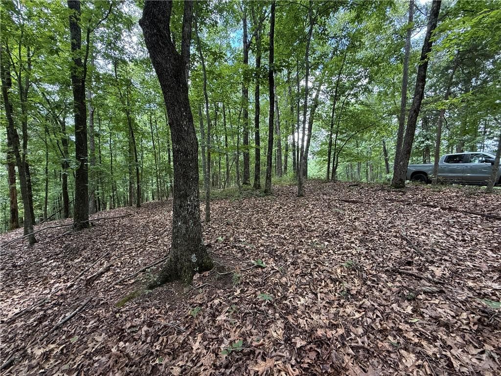single family residence for sale at LOT 10 Mayfield Lane, Ranger, GA 30734 — photo 9