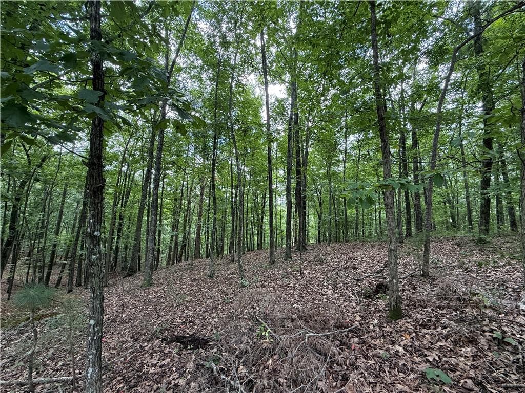 single family residence for sale at LOT 10 Mayfield Lane, Ranger, GA 30734 — photo 10