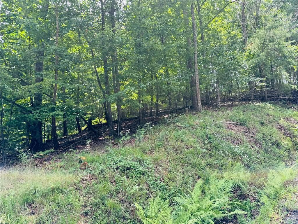 single family residence for sale at LOT 7 Stirratt Road, Ranger, GA 30734 — photo 4