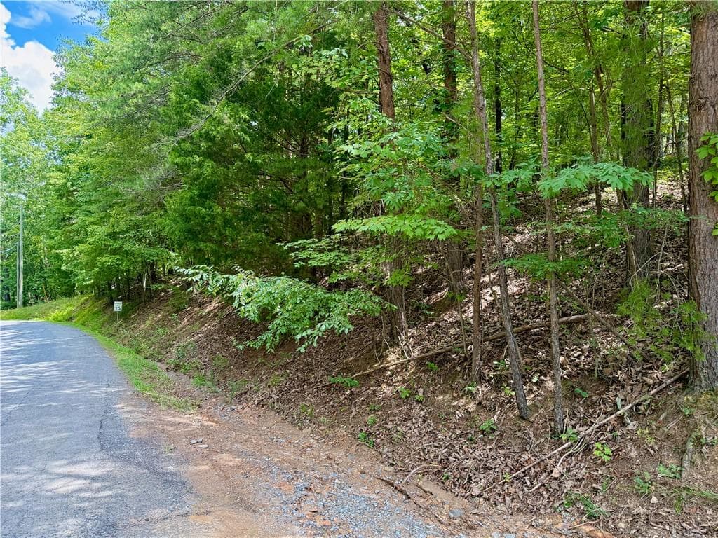 single family residence for sale at LOT 7 Stirratt Road, Ranger, GA 30734 — photo 5