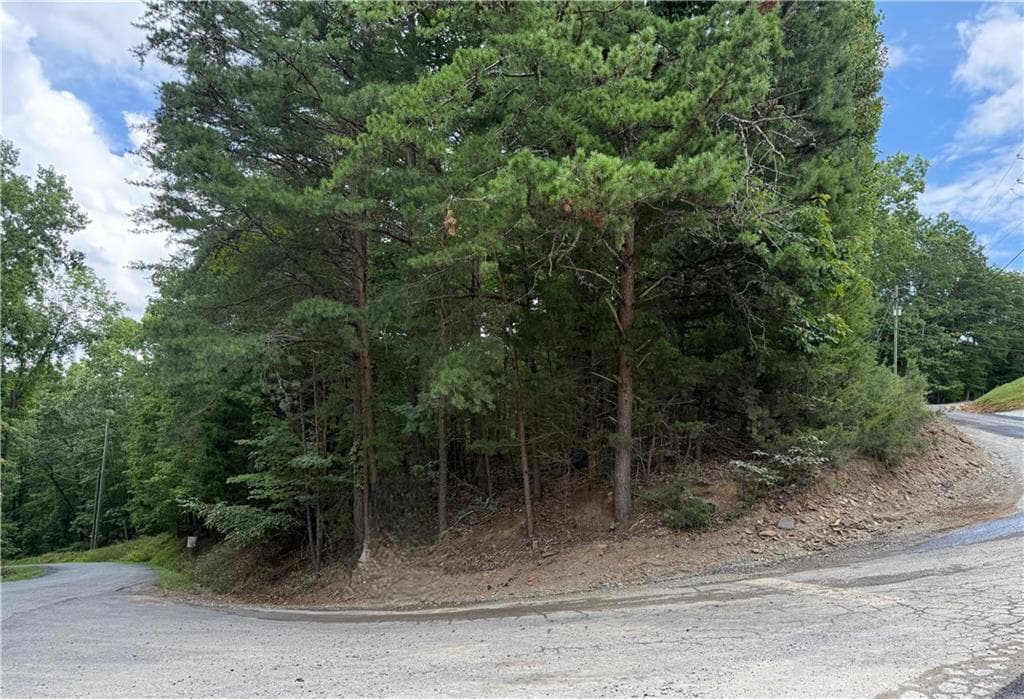 single family residence for sale at LOT 7 Stirratt Road, Ranger, GA 30734 — photo 6