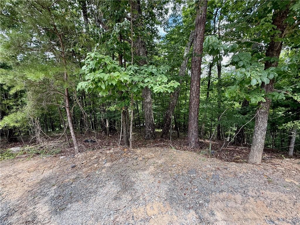 single family residence for sale at LOT 7 Stirratt Road, Ranger, GA 30734 — photo 9
