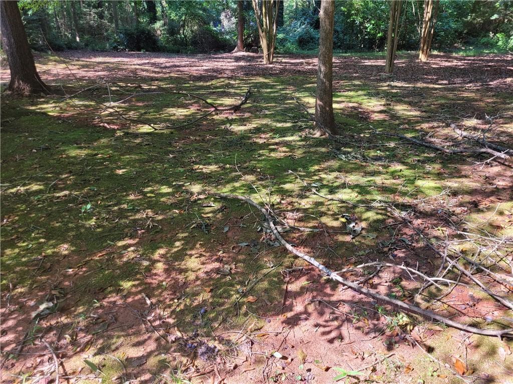 unimproved land for sale at 37 Knottywood Drive, Lavonia, GA 30553 — photo 1 of 1