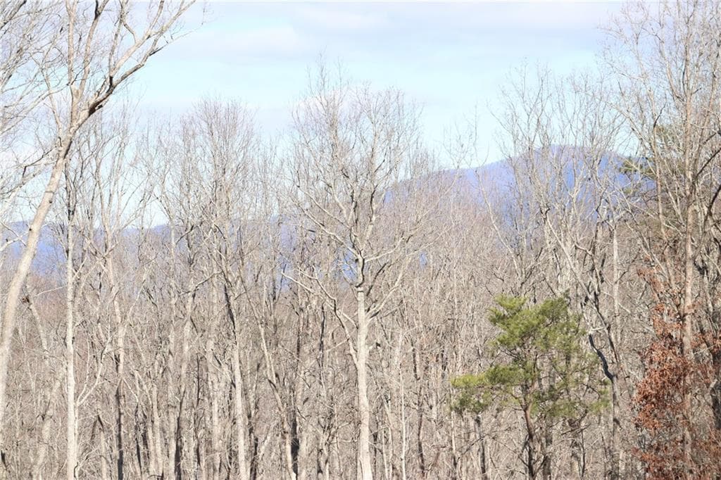 single family residence for sale at 179 Trailwood Drive, Ellijay, GA 30536