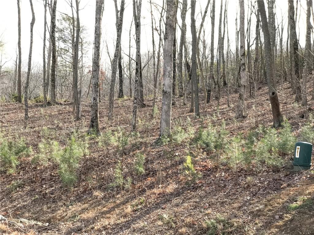 single family residence for sale at 179 Trailwood Drive, Ellijay, GA 30536 — photo 2