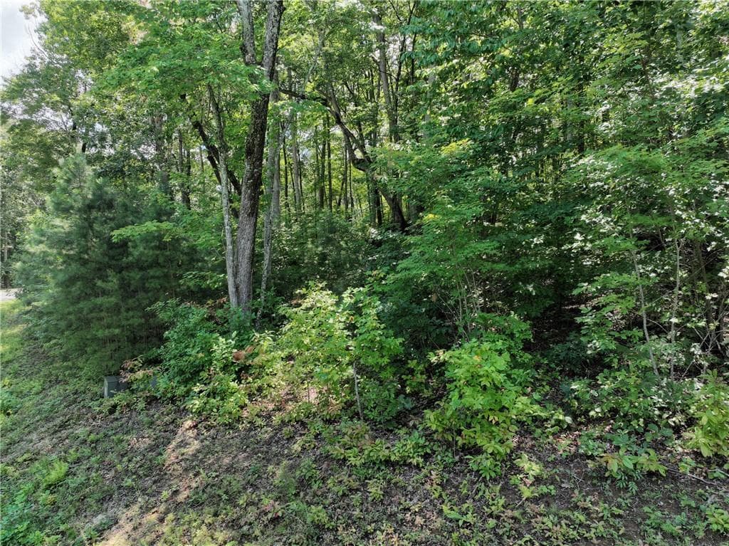 single family residence for sale at 179 Trailwood Drive, Ellijay, GA 30536 — photo 10