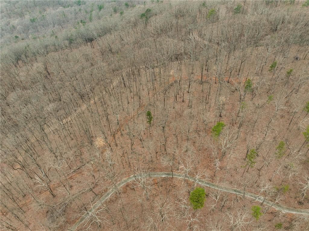 single family residence for sale at Lot 2 Mount Mincie Road, Murrayville, GA 30564 — photo 8