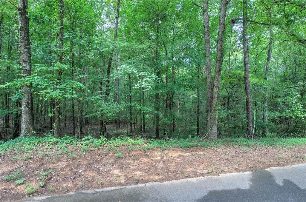 unimproved land for sale at 0 Weissinger Road, Kingston, GA 30145 — photo 4