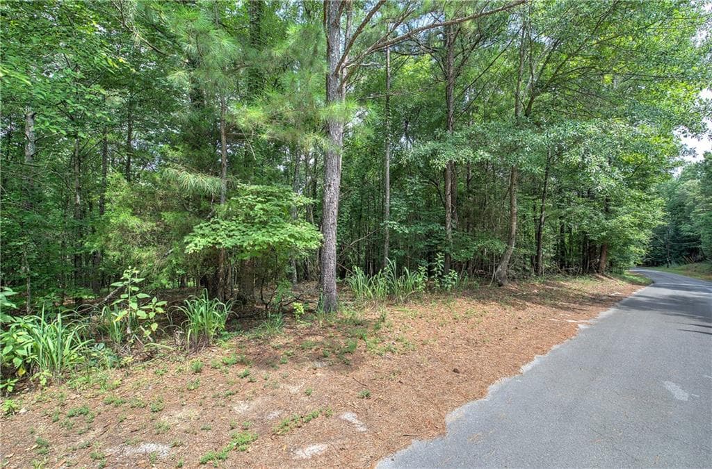 unimproved land for sale at 0 Weissinger Road, Kingston, GA 30145 — photo 5