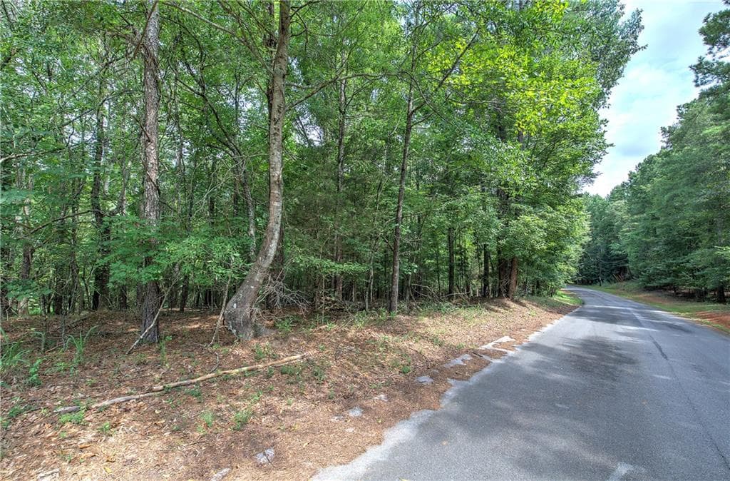 unimproved land for sale at 0 Weissinger Road, Kingston, GA 30145 — photo 6