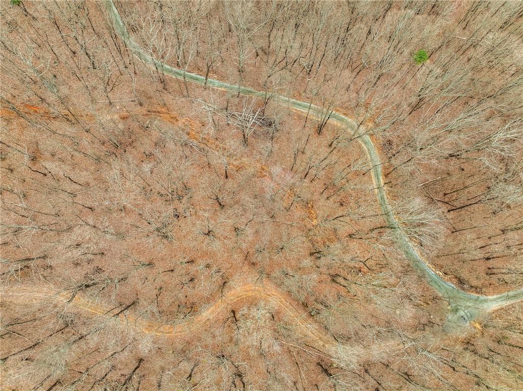 single family residence for sale at Lot 3 Mount Mincie Road, Murrayville, GA 30564 — photo 7