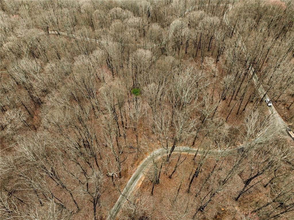 single family residence for sale at Lot 5 Mount Mincie Road, Murrayville, GA 30564 — photo 5