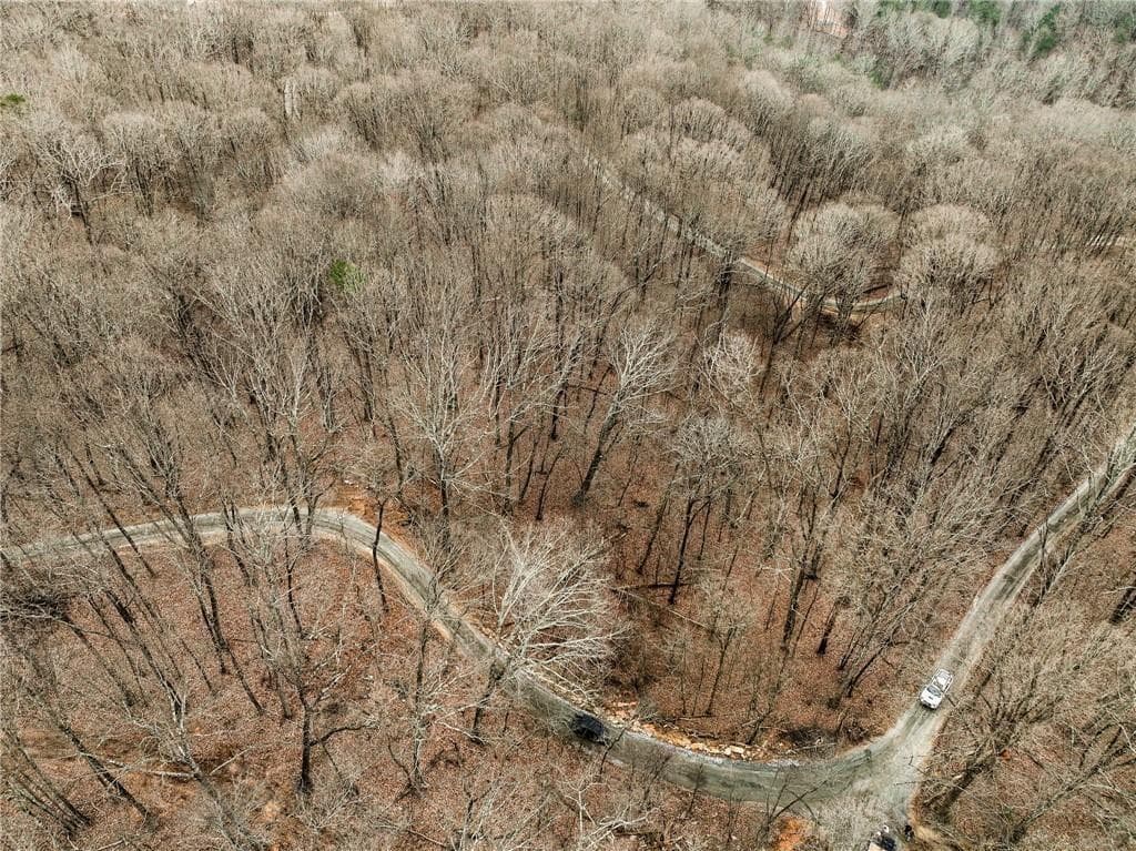 single family residence for sale at Lot 5 Mount Mincie Road, Murrayville, GA 30564 — photo 6