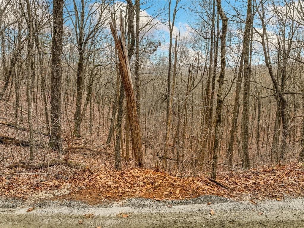 single family residence for sale at Lot 6 Mount Mincie Road, Murrayville, GA 30564 — photo 6