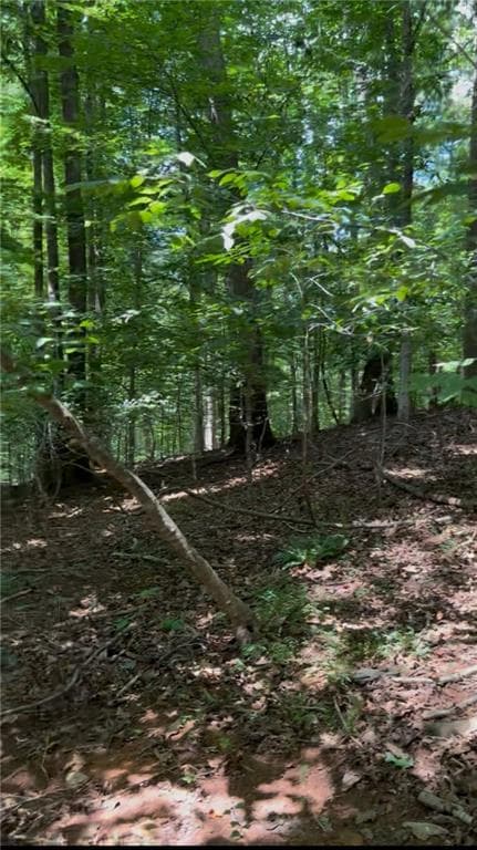 unimproved land for sale at 2291 Autumn Drive, Gainesville, GA 30507