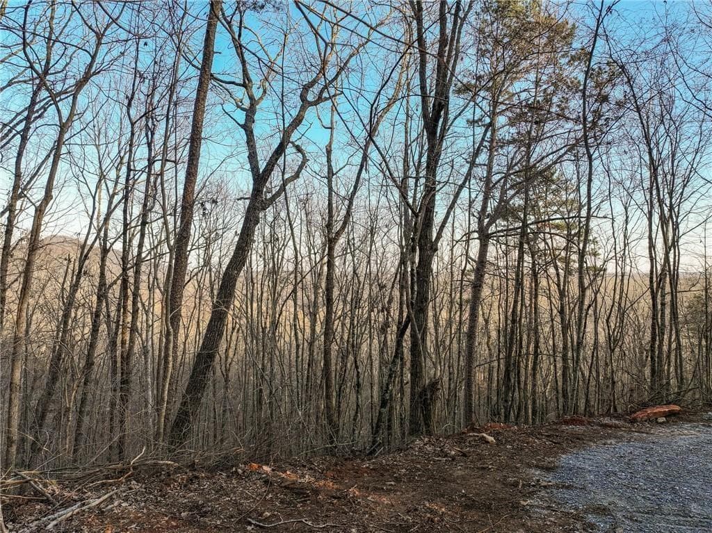 single family residence for sale at Lot 7 Mount Mincie Road, Murrayville, GA 30564 — photo 2