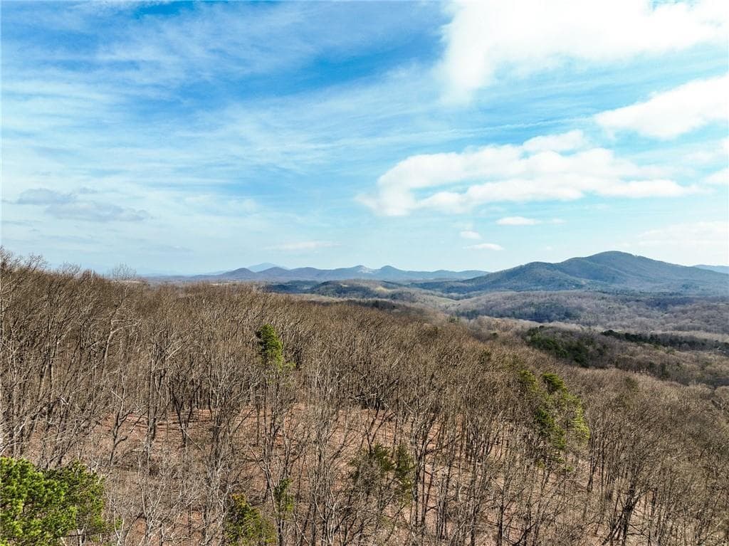 single family residence for sale at Lot 7 Mount Mincie Road, Murrayville, GA 30564 — photo 5