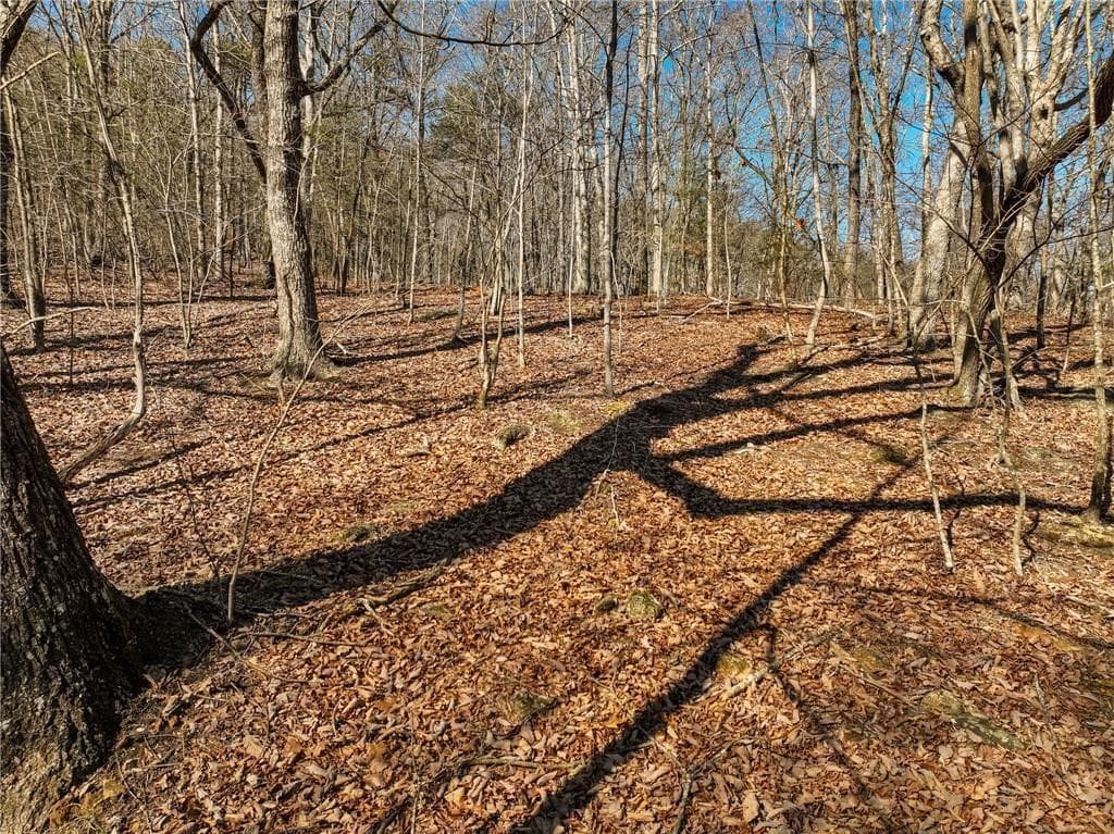 single family residence for sale at Lot 8 Mount Mincie Road, Murrayville, GA 30564