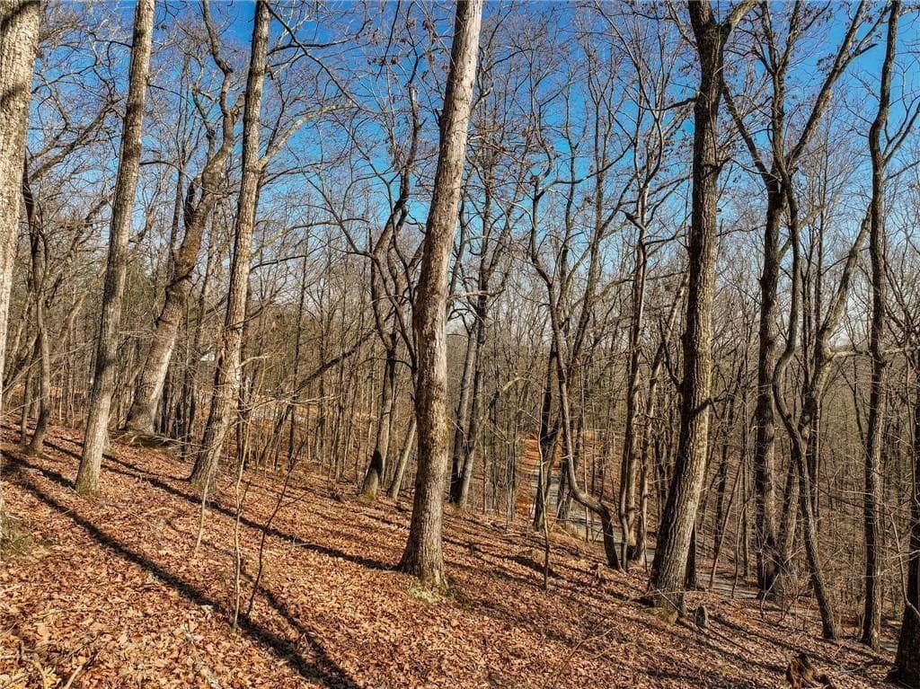 single family residence for sale at Lot 8 Mount Mincie Road, Murrayville, GA 30564 — photo 10