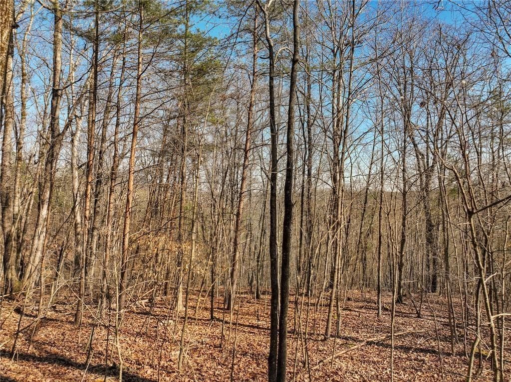 single family residence for sale at Lot 9 Mount Mincie Road, Murrayville, GA 30564