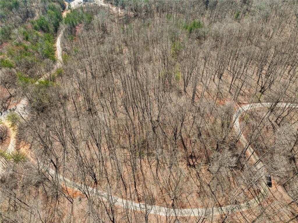 single family residence for sale at Lot 9 Mount Mincie Road, Murrayville, GA 30564 — photo 5