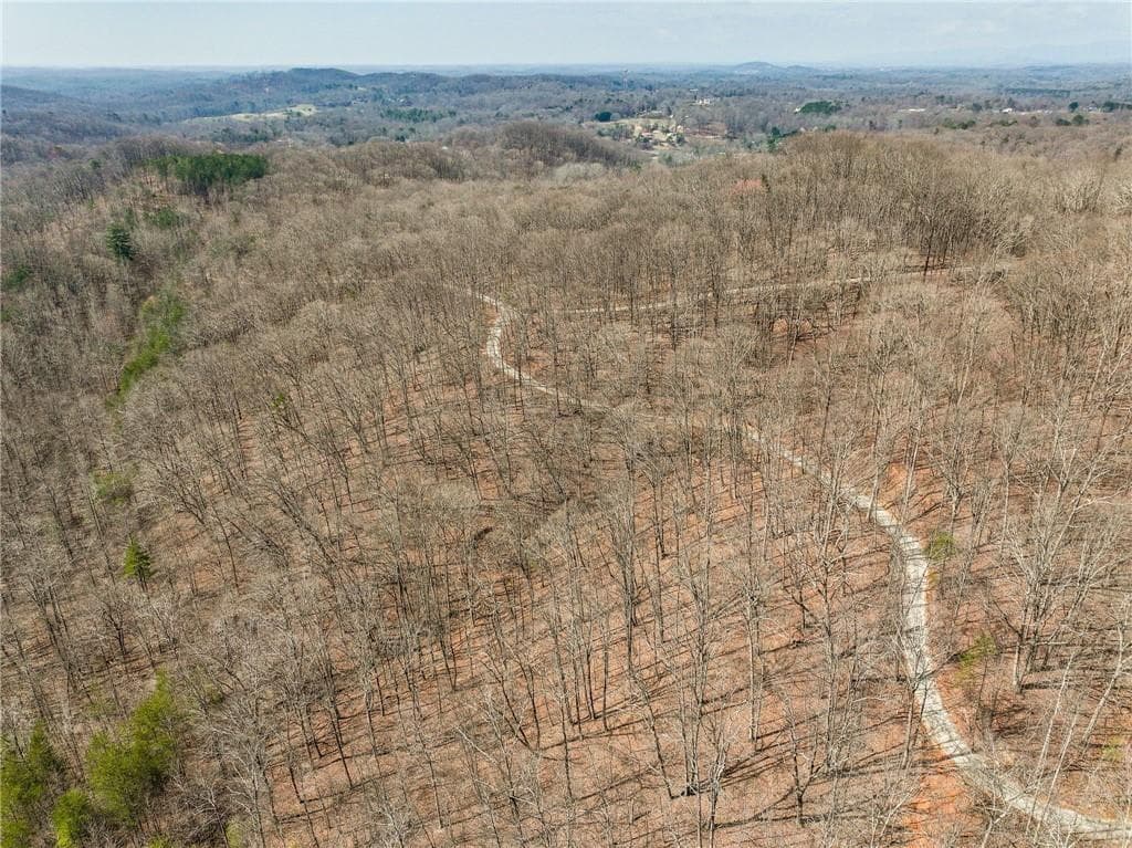 single family residence for sale at Lot 10 Mount Mincie Road, Murrayville, GA 30564 — photo 3