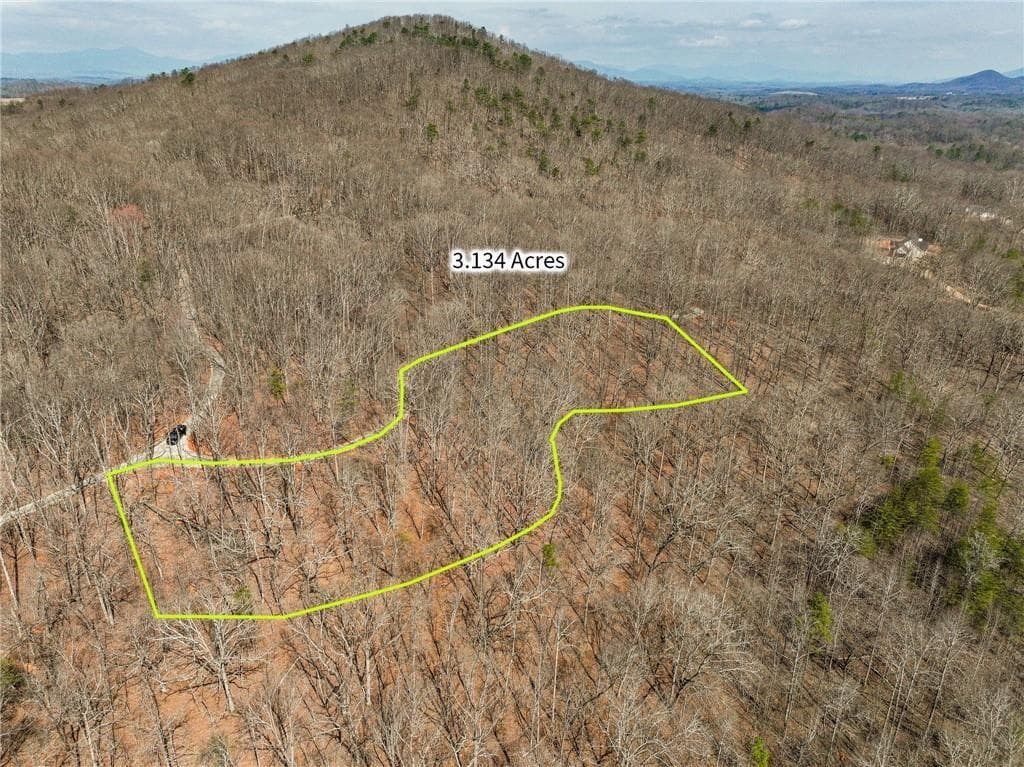 single family residence for sale at Lot 10 Mount Mincie Road, Murrayville, GA 30564 — photo 4