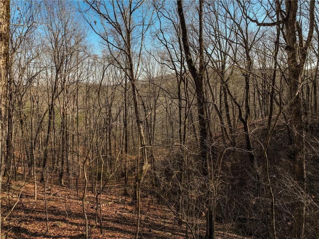 single family residence for sale at Lot 10 Mount Mincie Road, Murrayville, GA 30564 — photo 8