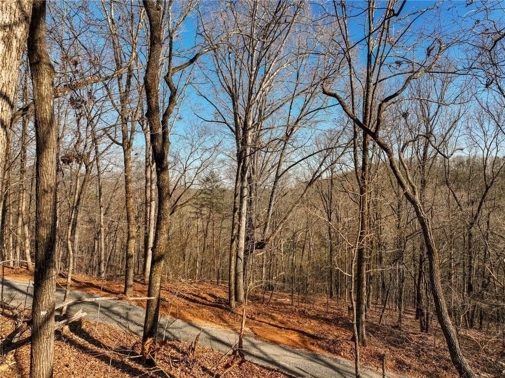 single family residence for sale at Lot 11 Mount Mincie Road, Murrayville, GA 30564 — photo 3